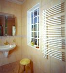 Полотенцесушитель Zehnder Yucca Star (Зендер Юкка Стар) для ГВС 500х1800 цвет белый